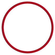 Icon Shirt